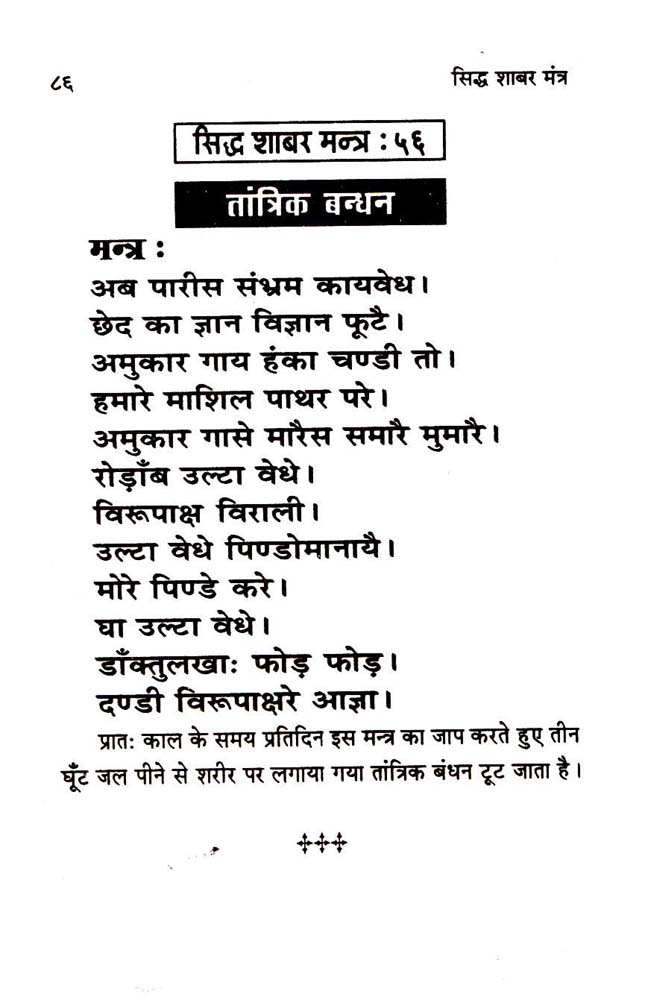 shabar mantra in hindi books